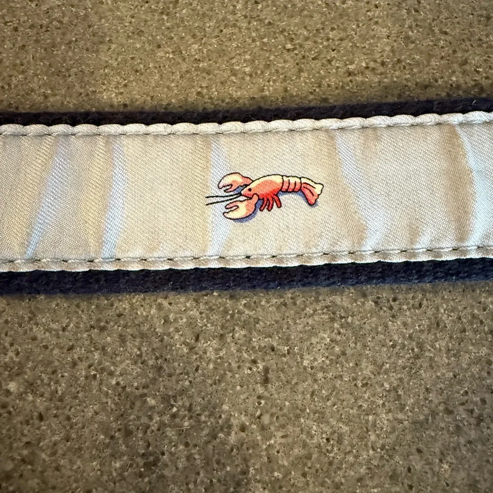 Boys Vineyard Vines Belt
